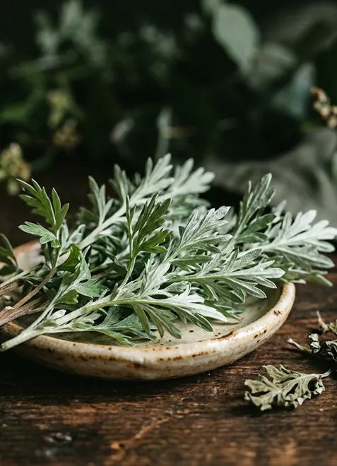 Wormwood